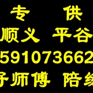 平谷好师傅汽车陪练公司